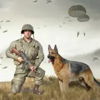 Call Of Courage : ww2 shooting on IndiaGameApk