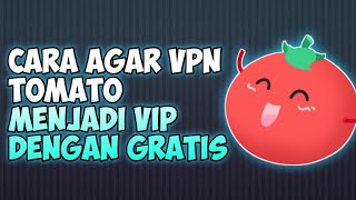 cara agar vpn tomato menjadi vip dengan gratis screenshot 4