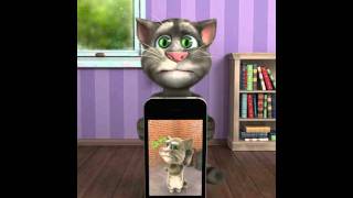 Talking Tom Plays Talking Tom 2 screenshot 3