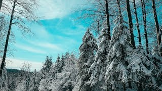 RELAXING CHRISTIAN MUSIC | Instrumental, Hymns, Soft Music, Prayer Time | Anointed screenshot 5