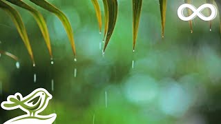 You & Me: Relaxing Piano Music & Soft Rain Sounds For Sleep & Relaxation screenshot 5