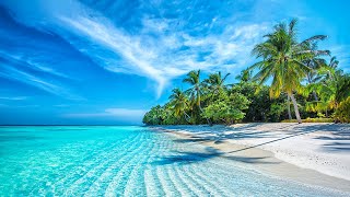 Beautiful Relaxing Music - Stop Overthinking, Mind Calm, Serene Seascapes for Ultimate Relaxation screenshot 4