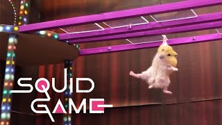 Squid Game vs Hamsterious: All Amazing Challenge screenshot 3