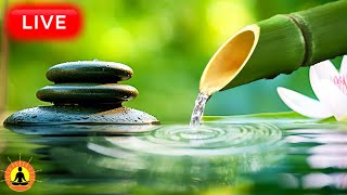 🔴 Relaxing Zen Music 24/7, Stress Relief Music, Sleep Music, Meditation Music, Study, Nature Sounds screenshot 4