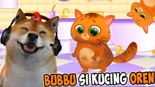 OBIT JADI PENGASUH KUCING OREN - Bubbu screenshot 3