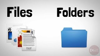 Computer Skills Course: File Management, Part 1 screenshot 5