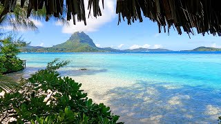 Beach View: 3 Hours of Bora Bora Ambience & Soft Ocean Sounds screenshot 3