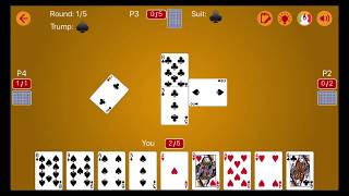 Call Break Plus How To play screenshot 3